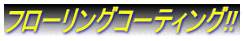 t[OR[eBO!!